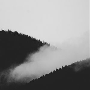 Превью обои склон, туман, чб, деревья, лес