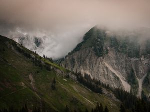 Превью обои склон, туман, горы, деревья, скалы