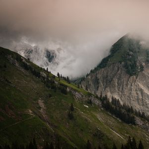 Превью обои склон, туман, горы, деревья, скалы