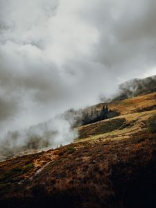 Превью обои склон, туман, облака, деревья, трава