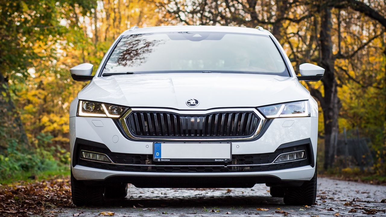 Обои skoda octavia, skoda, автомобиль, белый, вид спереди, осень