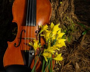 Превью обои скрипка, музыкальный инструмент, цветы
