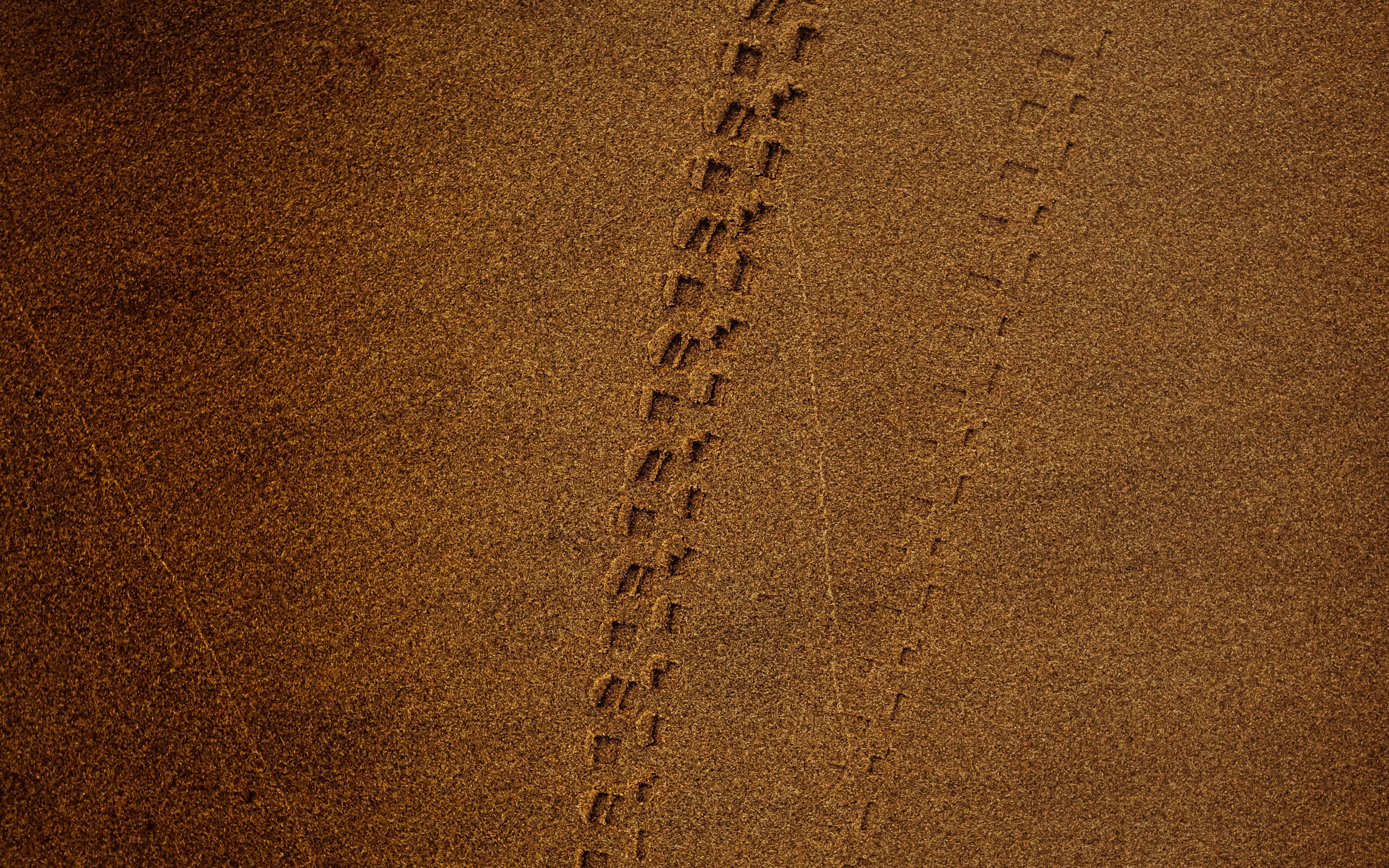 Sandy brown. Коричневый песок. Следы на песке. Коричневый след. Текстура коричневая песок.