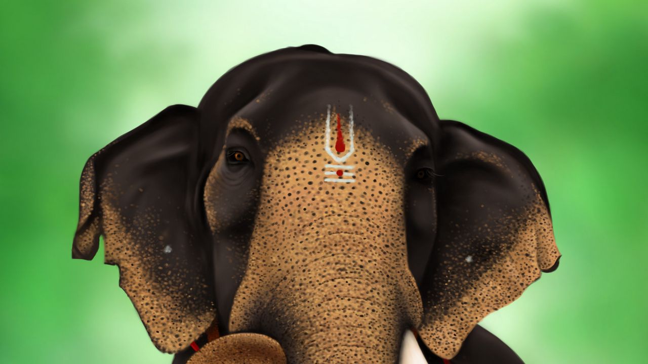 Обои слон, индийский, животное, арт