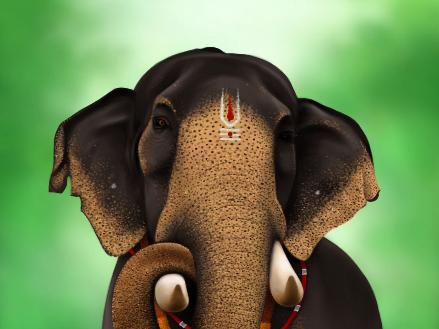 Индийский слон обои