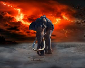 Превью обои слон, молнии, фотошоп, фантазия