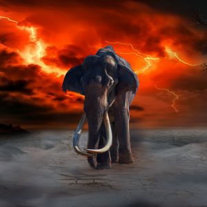 Превью обои слон, молнии, фотошоп, фантазия