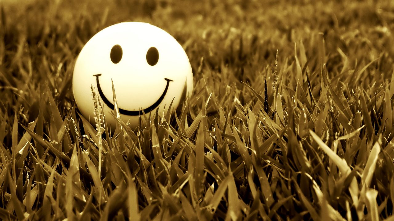 Обои смайл, улыбка, трава, настроение