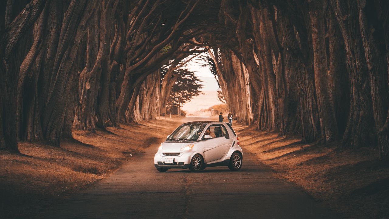 Обои smart fortwo, автомобиль, дорога, деревья