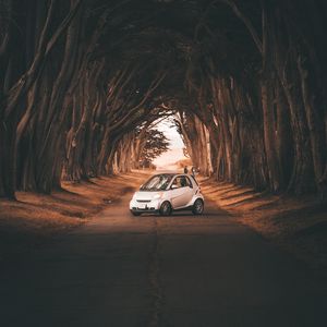 Превью обои smart fortwo, автомобиль, дорога, деревья