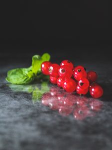 Превью обои смородина, ягода, красный, фрукт, листья