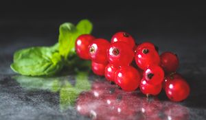 Превью обои смородина, ягода, красный, фрукт, листья