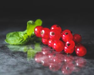 Превью обои смородина, ягода, красный, фрукт, листья