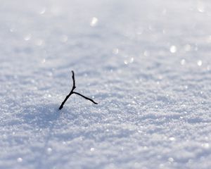 Превью обои снег, блеск, снежники, ветка