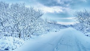 Превью обои снег, деревья, дорога, следы, зима, пасмурно