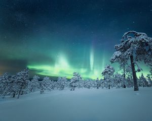 Превью обои снег, деревья, северное сияние, ночь, зима