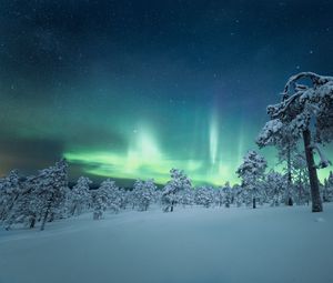 Превью обои снег, деревья, северное сияние, ночь, зима