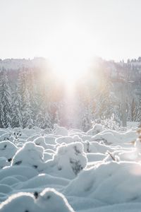 Превью обои снег, деревья, солнце, зима, пейзаж