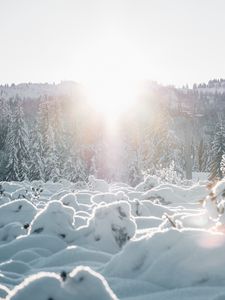 Превью обои снег, деревья, солнце, зима, пейзаж