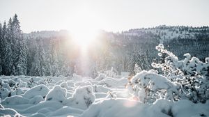 Превью обои снег, деревья, солнце, зима, пейзаж