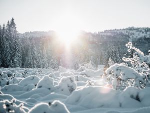 Превью обои снег, деревья, солнце, зима, пейзаж