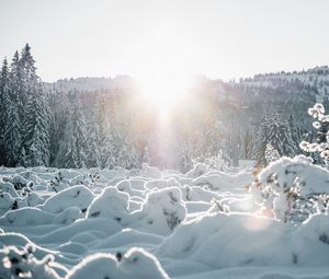 Превью обои снег, деревья, солнце, зима, пейзаж