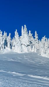 Превью обои снег, деревья, зима, заснеженный, пейзаж