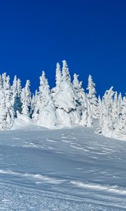 Превью обои снег, деревья, зима, заснеженный, пейзаж