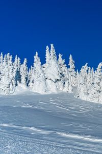 Превью обои снег, деревья, зима, заснеженный, пейзаж