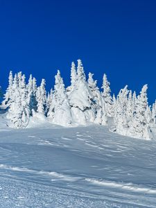 Превью обои снег, деревья, зима, заснеженный, пейзаж