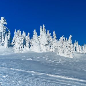 Превью обои снег, деревья, зима, заснеженный, пейзаж