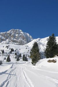 Превью обои снег, горнолыжный курорт, дом