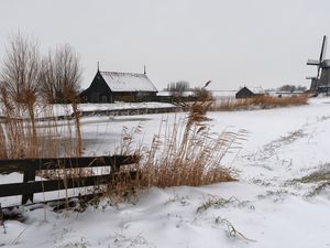 Превью обои снег, мельница, деревня, холод, ферма, дом, колосья