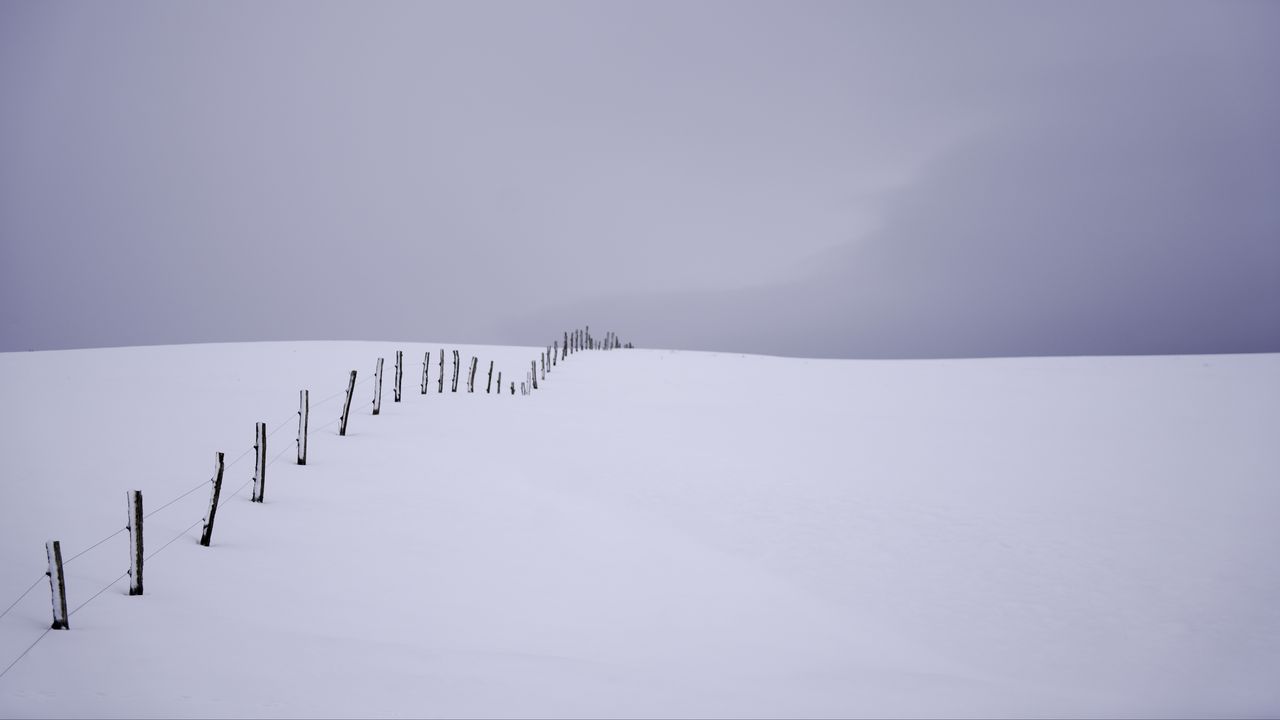 Обои снег, поле, ограда, минимализм, белый
