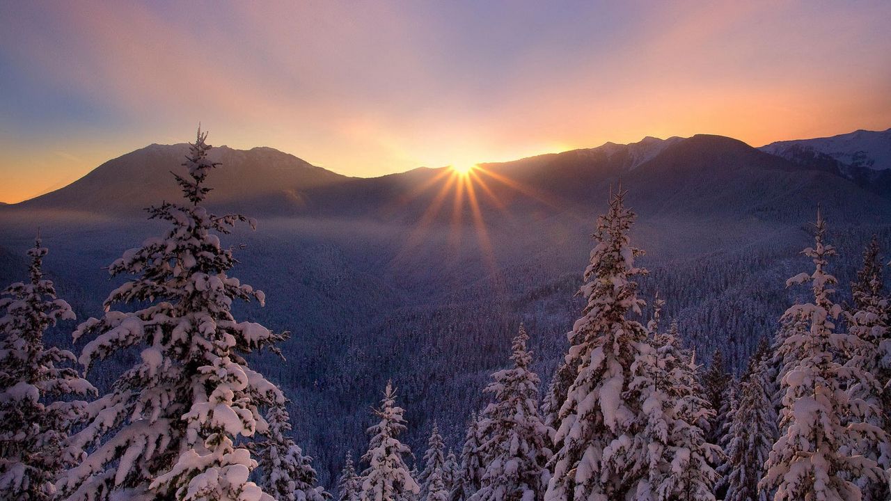 Обои снег, природа, мороз, елки, закат, лесогорье, красивый, зима