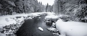 Превью обои снег, река, лес, деревья