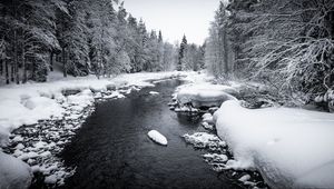 Превью обои снег, река, лес, деревья