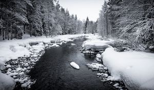 Превью обои снег, река, лес, деревья