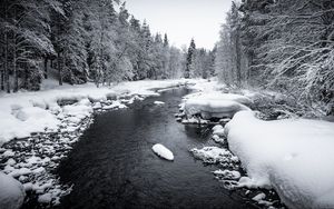 Превью обои снег, река, лес, деревья