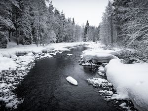 Превью обои снег, река, лес, деревья