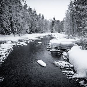 Превью обои снег, река, лес, деревья