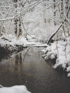 Превью обои снег, река, ручей, ветка