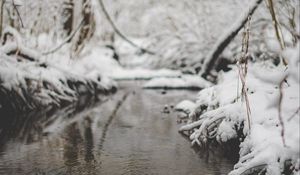 Превью обои снег, река, ручей, ветка