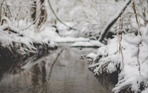 Превью обои снег, река, ручей, ветка