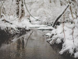 Превью обои снег, река, ручей, ветка