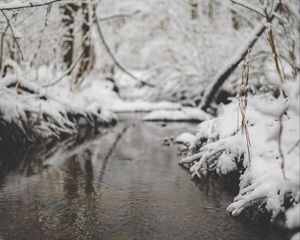 Превью обои снег, река, ручей, ветка