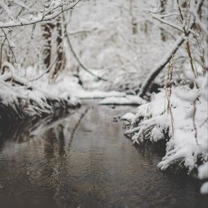 Превью обои снег, река, ручей, ветка