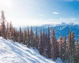 Превью обои снег, склон, горы, зима, деревья, снегопад