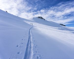 Превью обои снег, след, лыжники, силуэты, склон, гора