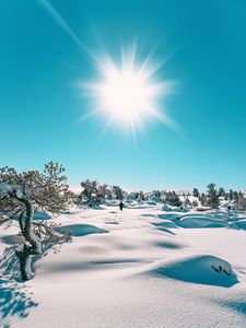 Превью обои снег, солнце, пейзаж, зима